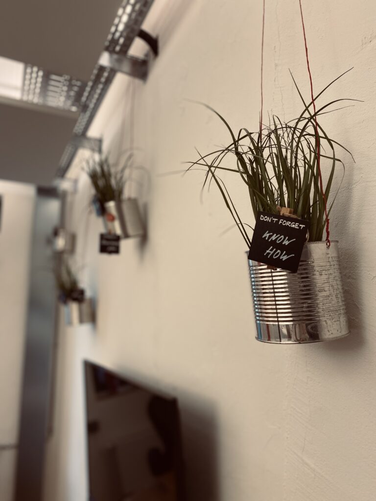 Hängende Pflanzen in recycelten Konservendosen an einer Wand im 'Meetingsraum Herford'.